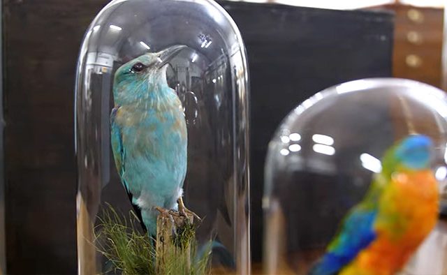 Lacy Scott & Knight Auction Centre