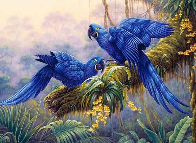 BKB Fine Art